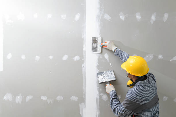 Best Drywall Texturing  in USA